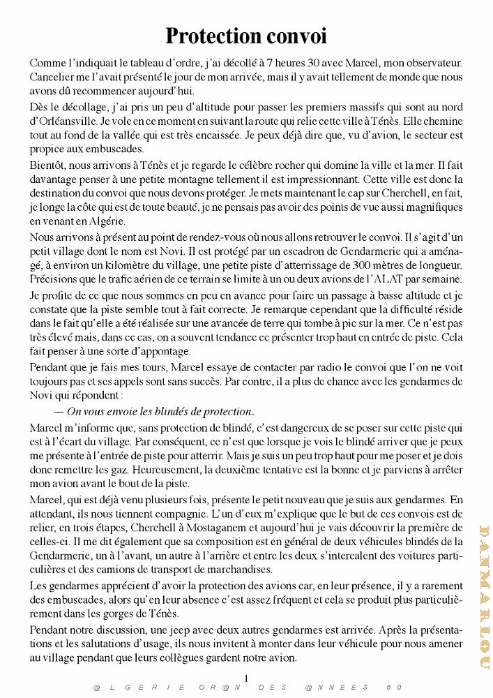 PILOTE AU PA 9e-DI PAR PIERRE BERNIER (5).jpg